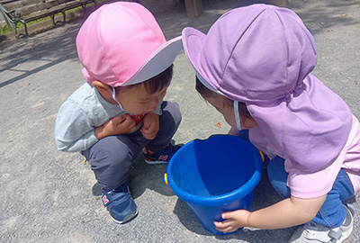 入園について　イメージ